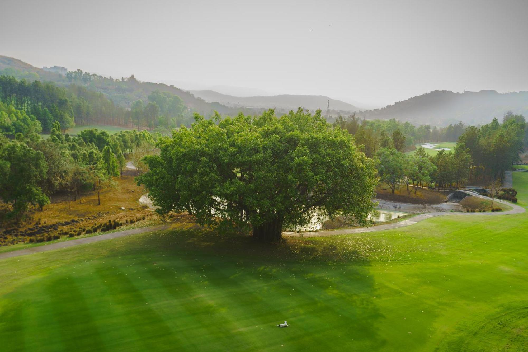 Oxford Golf Resort Pirangut Экстерьер фото
